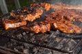 Closeup of delicious pork ribs on barbeque grill