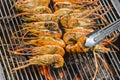 Closeup delicious prawns on charcoal grilled on fire