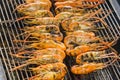 Closeup delicious prawns on charcoal grilled on fire