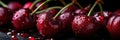 closeup delicious ripe red sweet cherry with water drops banner Royalty Free Stock Photo