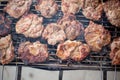 Closeup of delicious seasoned meat being barbecued on a grill