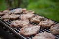 Closeup of delicious seasoned meat being barbecued on a grill