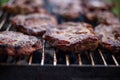 Closeup of delicious seasoned meat being barbecued on a grill