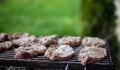 Closeup of delicious seasoned meat being barbecued on a grill