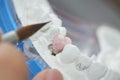 Closeup of dental technician putting ceramic to dental implants Royalty Free Stock Photo