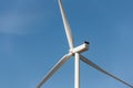 Closeup detail back view of new white modern wind turbine farm power generation station against clear blue sky on day Royalty Free Stock Photo