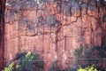 Closeup detail or background of red rock cliff with cracks and chunks and a little vegetation Royalty Free Stock Photo