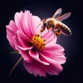 Closeup with detail of a bee collecting pollen inside a flower. AI generated Royalty Free Stock Photo