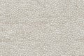 Closeup detail of beige carpet texture,  High resolution photo Royalty Free Stock Photo