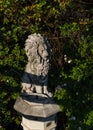 Closeup detail of a cement lion statue