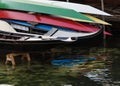 Closeup detail of colorful boats and black gondola at boatyard in Venice, Italy