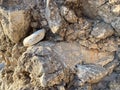 Closeup detail of gritty sandy soil with irregular pit natural background texture