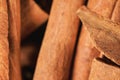 Closeup detail - Heap of cinnamon bark sticks Royalty Free Stock Photo
