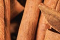 Closeup detail - Heap of cinnamon bark sticks