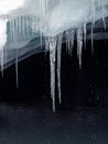 Closeup detail of ice crystal icicle melting snow water drop at Pastoruri Glacier Cordillera Blanca Ancash Peru Andes