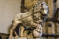 Medici lions from Florence, Italy Royalty Free Stock Photo