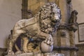 Medici lions from Florence, Italy Royalty Free Stock Photo