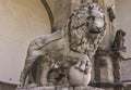 Medici lions from Florence, Italy Royalty Free Stock Photo