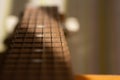 Closeup detail of steel guitar strings and frets for making music. Guitar neck in selective focus Royalty Free Stock Photo