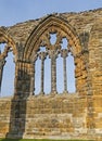 Closeup detail of window in ancient gothic abbey ruins Royalty Free Stock Photo