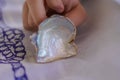 Closeup detail of a young child`s fingers holding a seashell. ÃÂ¤ablecloth with a picture of a nautical knot