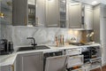 Closeup details of grey and white modern classic kitchen, all doors are open