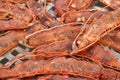 Closeup details of ripe sour brown tamarind pile for make soggy tamarind