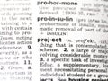 Closeup of the dictionary definition of the word project