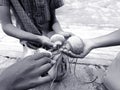 Closeup of different age group kids playing Buguri or Spinning Tops on Roadside during holiday