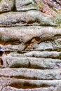 Closeup of different forms of erosion on an irregular rock formation with grooves, furrows and moss