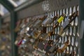 Closeup of different locks attached to a metal grid - symbol of eternal love