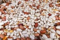 Closeup of different types of beans background. Royalty Free Stock Photo