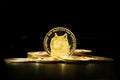 Closeup of a digital dog coin on a bunch of golden coins isolated on a black background Royalty Free Stock Photo
