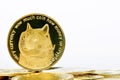 Closeup of a digital dog coin on a bunch of golden coins isolated on a white background Royalty Free Stock Photo