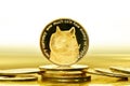 Closeup of a digital dog coin on a bunch of golden coins isolated on a white background Royalty Free Stock Photo