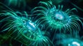 A closeup of a dinoflagellate a type of plankton known for its bioluminescence glowing with a bluegreen light. .