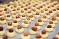 Closeup dmall shortbread cookies in the formround balls on baking sheet with paper, with hazelnut nuts in cookies center. Concept