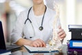 A doctor at the table holding a spin skeleton with pelvis part