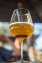 closeup of draft beer in wine glass Royalty Free Stock Photo
