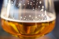 closeup of draft beer in wine glass Royalty Free Stock Photo