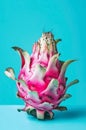 Dragon fruit.