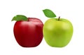 Close-up drawn apples, healthy fruits, illustration