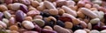 Closeup of dried beans Royalty Free Stock Photo