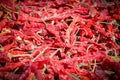 Closeup of dried chili peppers