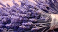 Closeup of dried lavender flowers bouquet