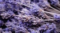 Closeup of dried lavender flowers bouquet