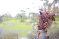 Closeup dried purple flower in the pot for home decoration against glass window with rain drop on rainy day Royalty Free Stock Photo