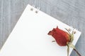 Closeup dried red rose with white note paper on concrete floor texture background with copy space Royalty Free Stock Photo