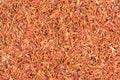 Closeup of dried safflower background.