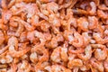 Closeup dried shrimp